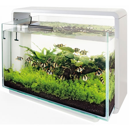 Aquarium