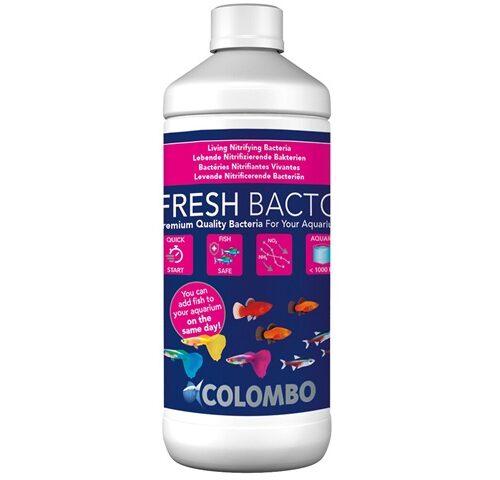 Colombo Fresh Bacto 1000 ml